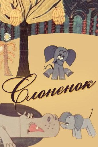 The Elephant (1967) poster