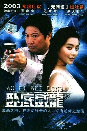 Undercover Cop (2003) poster