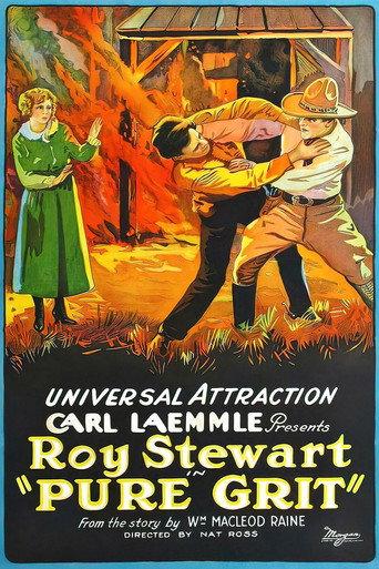 Pure Grit (1923) poster