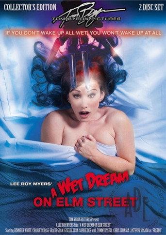 A Wet Dream on Elm Street (2011) poster