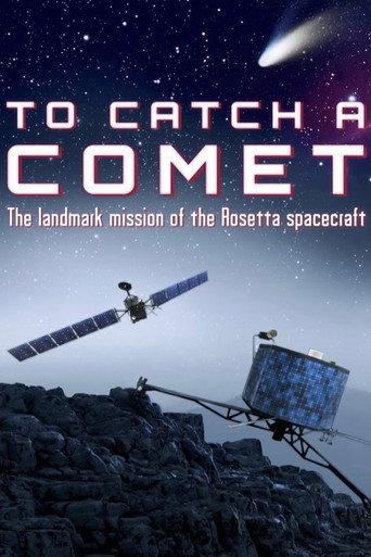 To Catch a Comet (2014) poster
