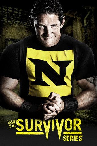WWE Survivor Series 2010 (2010) poster
