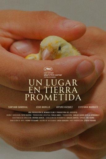 Un lugar en tierra prometida () poster