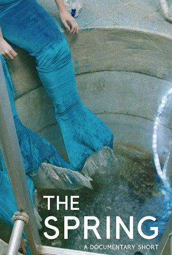 The Spring () poster