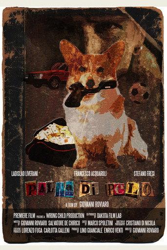 Palla di pelo (2021) poster