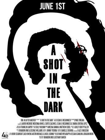 A Shot in the Dark (2026) poster