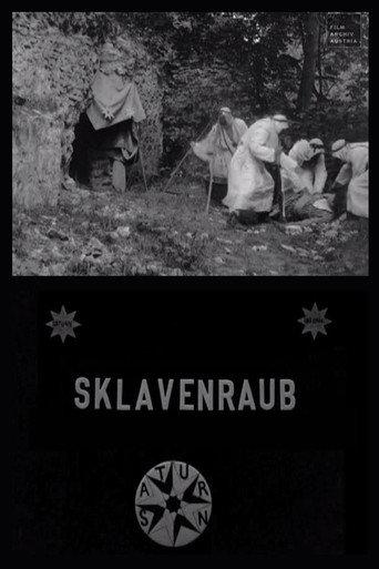 The Abduction of the Slave Women (1907) poster