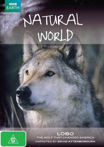 A Wolf Called Storm (2012) poster