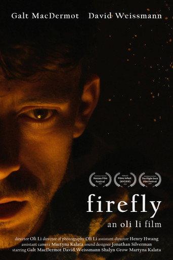 Firefly (2024) poster
