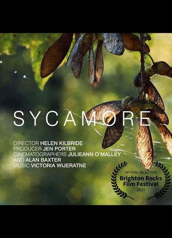 Sycamore (2022) poster