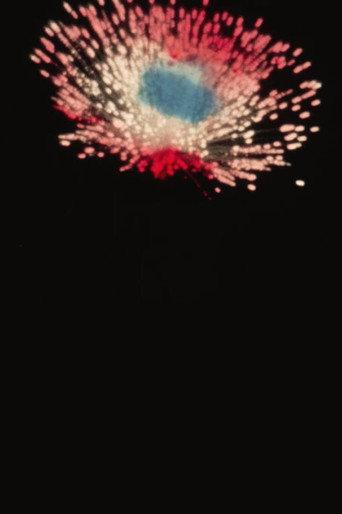 La Fontaine Lumineuse du Parc Lafontaine / Feu d’Artifice (1934) poster