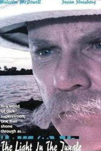 Schweitzer (1990) poster