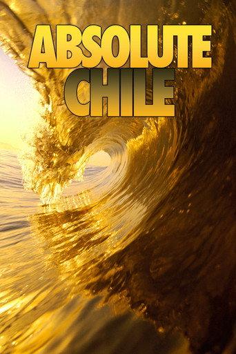 Absolute Chile () poster