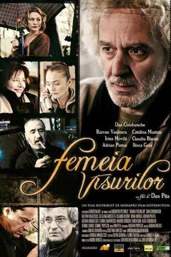 The Woman in the Dream (2005) poster