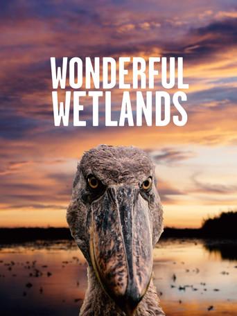 Wonderful Wetlands (2020) poster