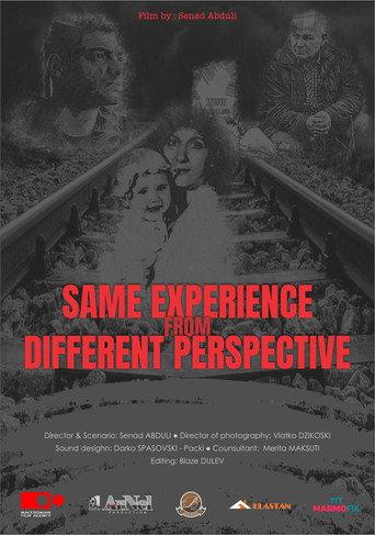 Same Experience, Different Perspective (2020) poster