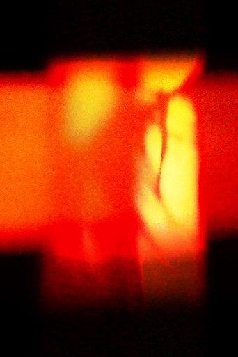within the light; a fire (2026) poster