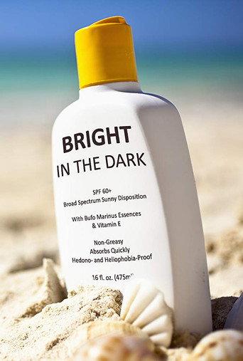 Bright in the Dark (2012) poster