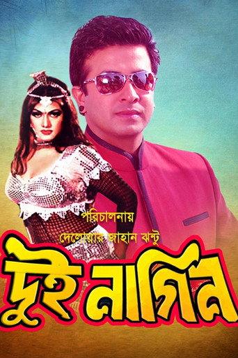Dui Nagin (2001) poster