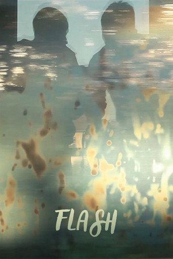 FLASH (2015) poster