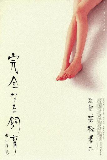 Perfect Education 6 (2004) poster