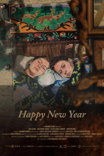 Happy New Year () poster
