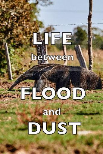 Life between Flood and Dust (2012) poster