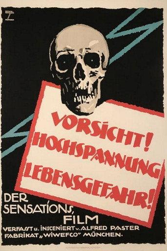 Die Flammenfahrt des Pacific-Express (1921) poster