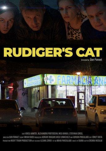 Pisica lui Rudiger () poster