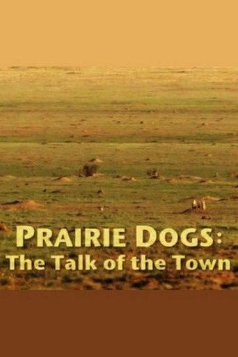 Prairie Dogs: Talk of the Town (2010) poster