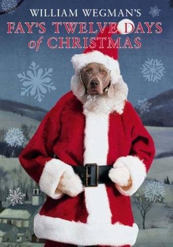 Fay's 12 Days of Christmas (1995) poster