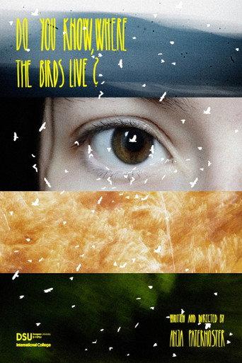 Do You Know, Where the Birds Live? (2025) poster