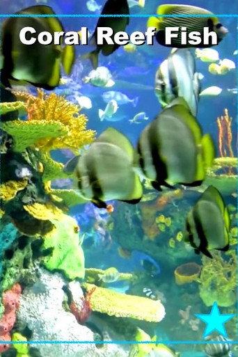 Beautiful Coral Reef Fish (2016) poster