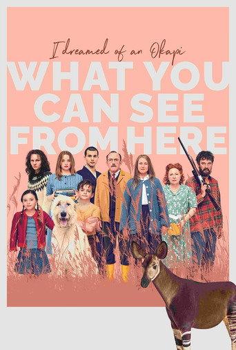What You Can See from Here (2022) poster