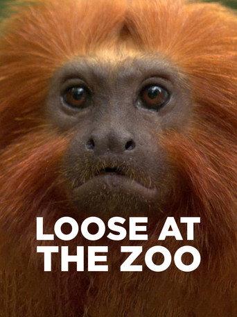 Loose at the Zoo (2007) poster
