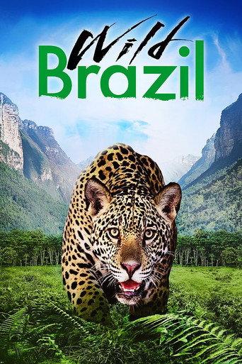Wild Brazil (2014) poster