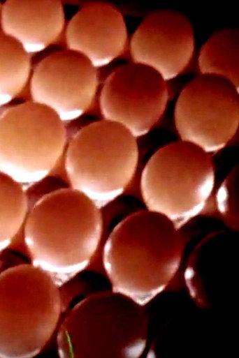 Eggs To Market (1964) poster