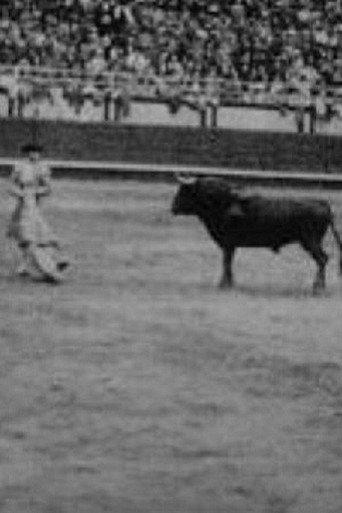 Corrida profesional Plaza Belmonte (1929) poster