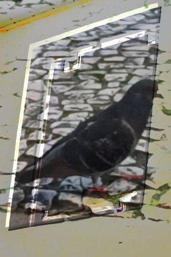 não tenho dormido muito mas continuo sonhando a cada piscada (2024) poster