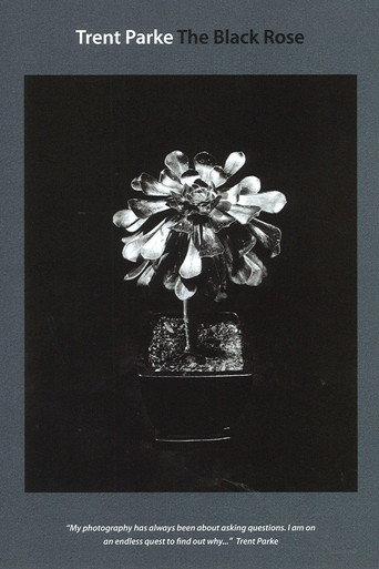 Trent Parke: The Black Rose (2015) poster