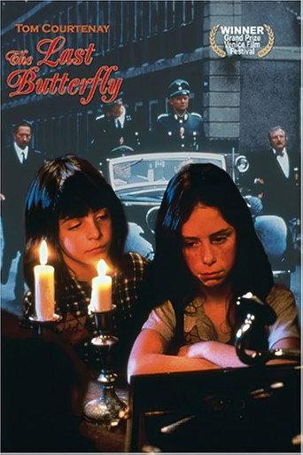 The Last Butterfly (1991) poster