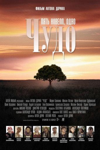 Miracle (2013) poster