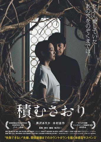 Saori, Piling Up (2018) poster