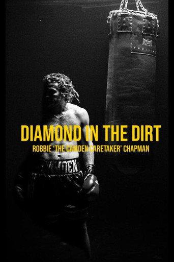 Diamond In The Dirt (2023) poster