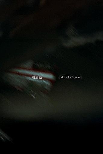 Take a Look at Me (2025) poster