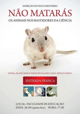 Não Matarás (2006) poster