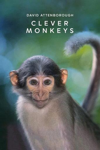 Clever Monkeys (2008) poster