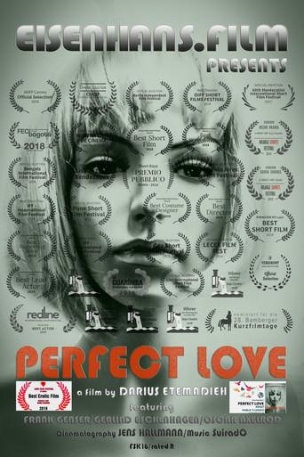 Perfect Love () poster