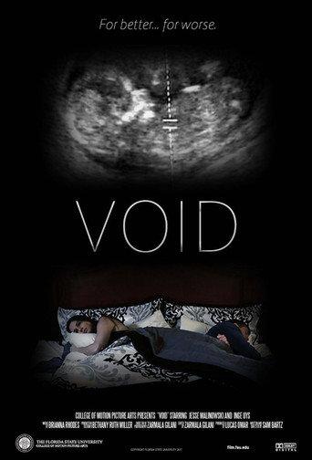 Void () poster