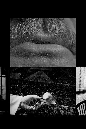 Cinema Study (2003) poster